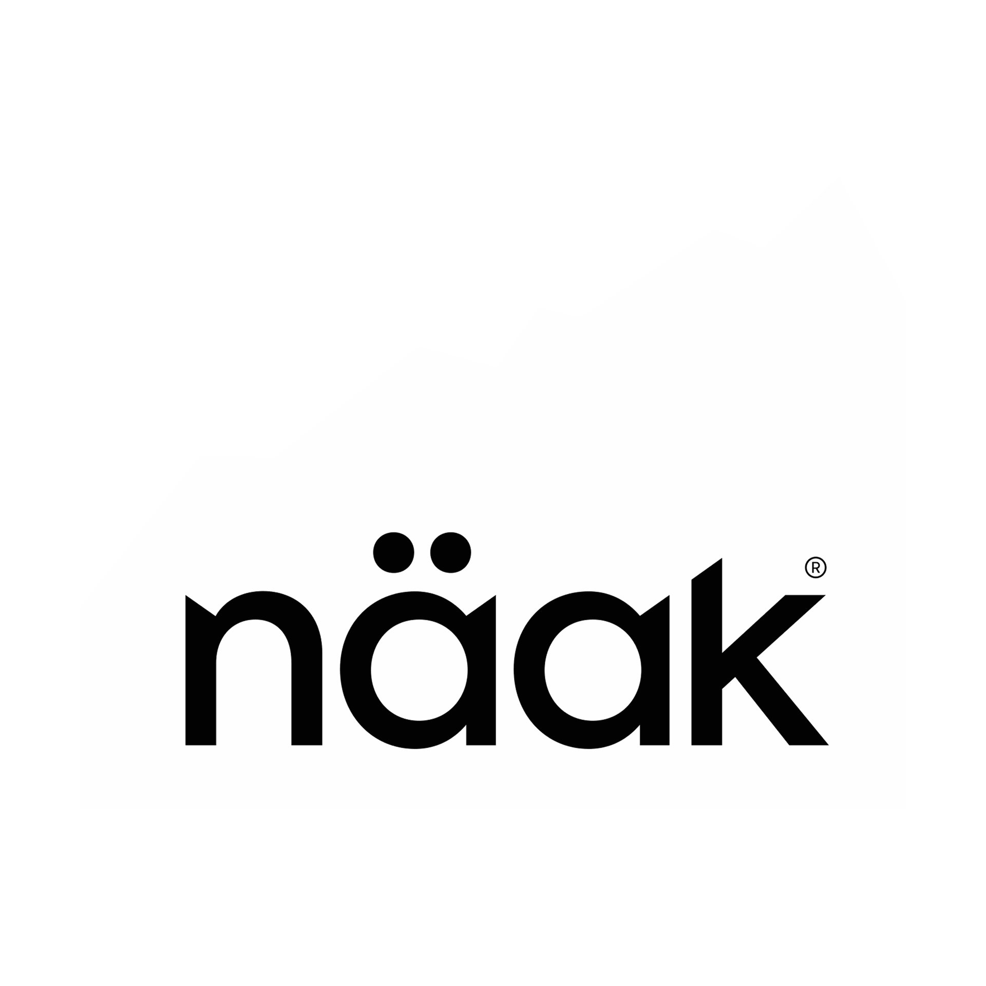 Home | Naak EU